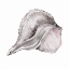 Picture of BLUSH SHELL II