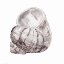 Picture of BLUSH SHELL III