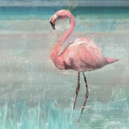 Picture of FLAMINGO PARTY II