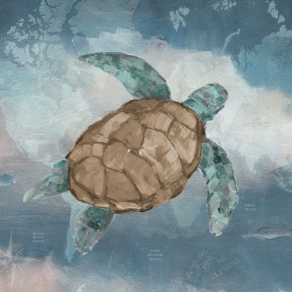 Picture of TRAVELING TURTLE I