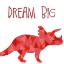 Picture of DREAM BIG