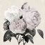 Picture of BOTANICAL ARRANGEMENT I