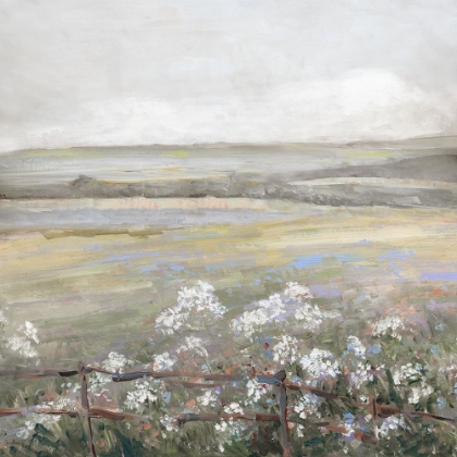 Picture of SOFT SUMMER MEADOW II