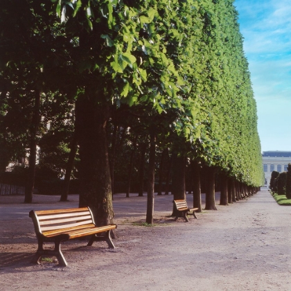 Picture of FRENCH JARDIN NO. 9