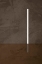 Picture of VERTICAL LINE