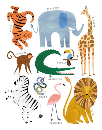 Picture of ANIMAL CHART