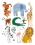 Picture of ANIMAL CHART