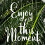 Picture of TROPICAL MOMENT
