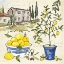 Picture of CITRON III