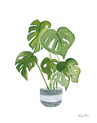Picture of GREEN HOUSE PLANTS II