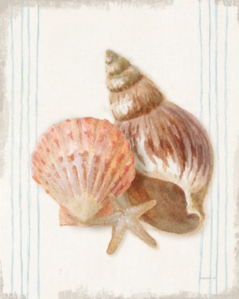 Picture of FLOURSACK NAUTICAL SHELLS I