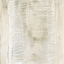 Picture of TONED TEXTURE II