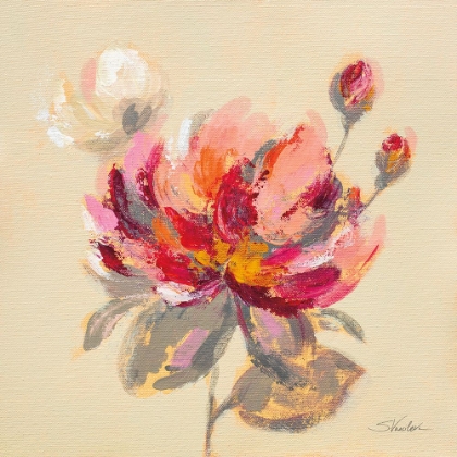 Picture of BLOOMING PEONY I