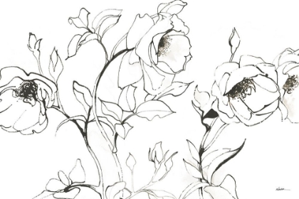 Picture of SKETCH OF ROSES