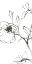 Picture of SKETCH OF ROSES PANEL I