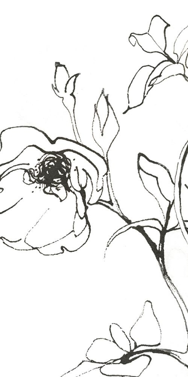 Picture of SKETCH OF ROSES PANEL I