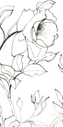 Picture of SKETCH OF ROSES PANEL II