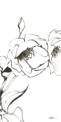 Picture of SKETCH OF ROSES PANEL III