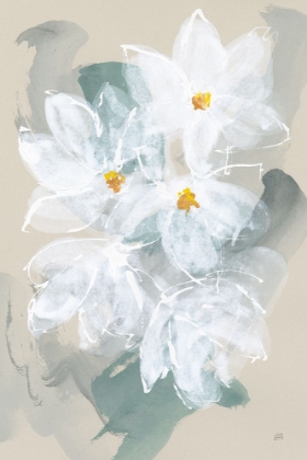 Picture of NARCISSUS I