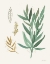 Picture of LEAF AND STEM IV