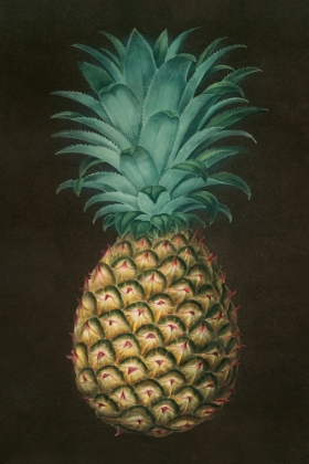 Picture of VINTAGE PINEAPPLE I