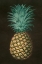 Picture of VINTAGE PINEAPPLE I