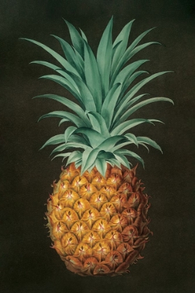 Picture of VINTAGE PINEAPPLE II