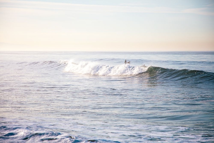 Picture of SANTA MONICA BEACH IV