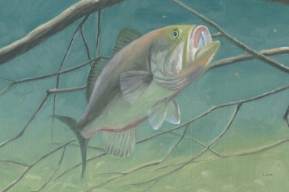 Picture of FRESH CATCH II