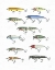 Picture of FRESH CATCH IV