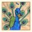Picture of ECCENTRIC BIRD I