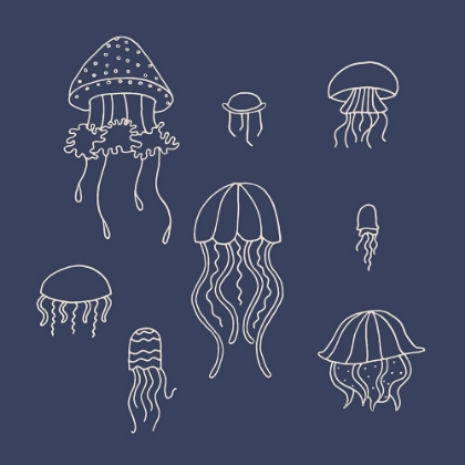 Picture of JELLYFISH 1