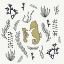 Picture of SEAHORSES 1
