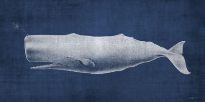 Picture of WHALE 1 V2