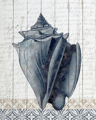 Picture of SHELLS 2