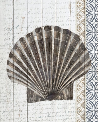 Picture of SHELLS 3