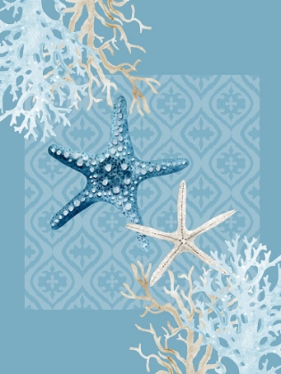 Picture of STARFISH TOURS