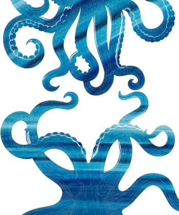 Picture of OMBRE OCTOPUS