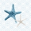 Picture of STARFISH TOURS PATTERN