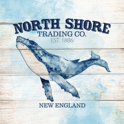 Picture of NORTH SHORE