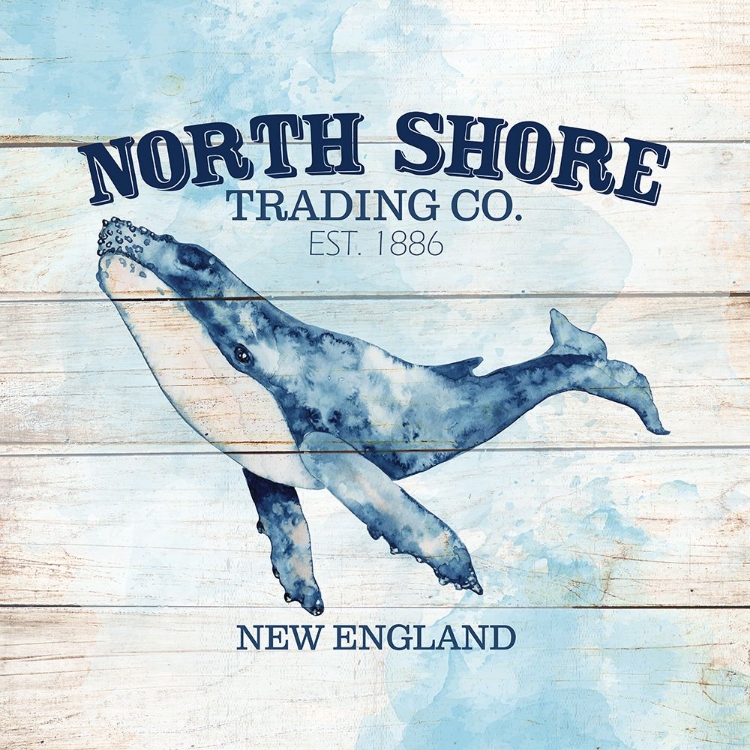 Picture of NORTH SHORE