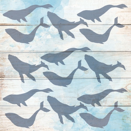 Picture of NORTH SHORE PATTERN