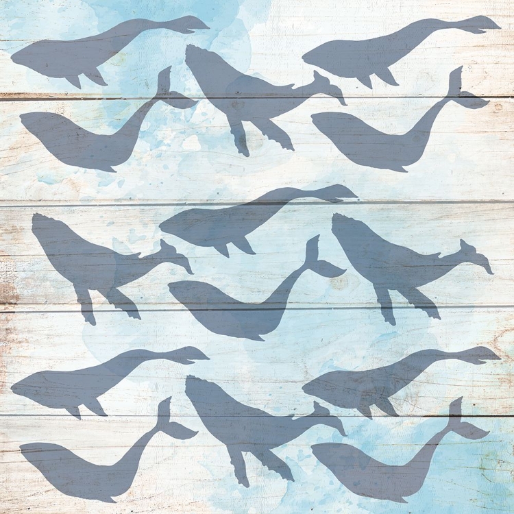 Picture of NORTH SHORE PATTERN