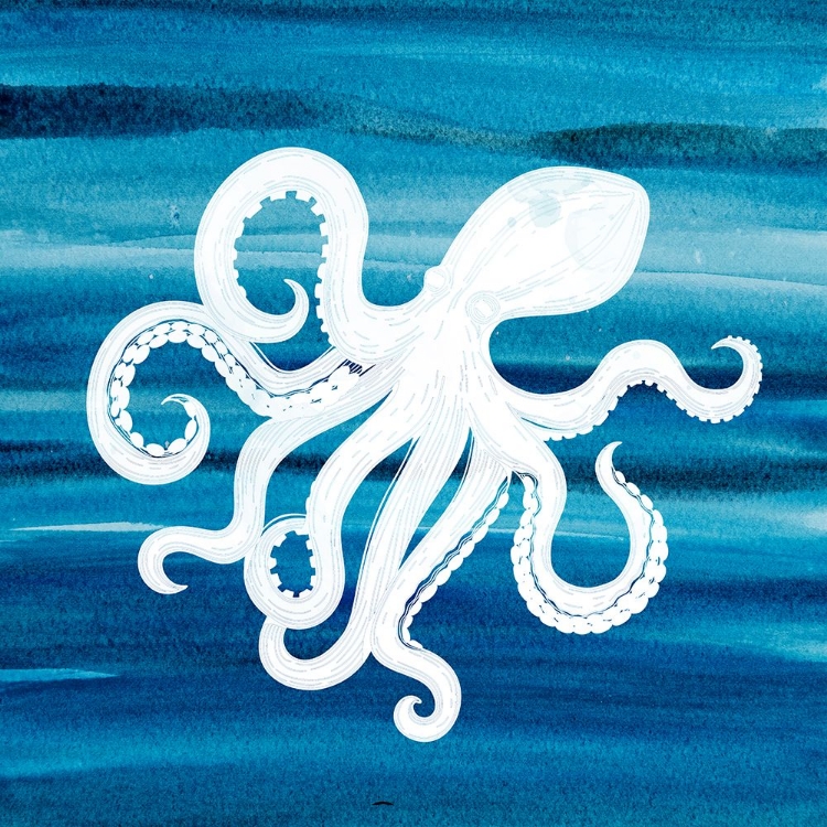 Picture of OMBRE OCTOPUS