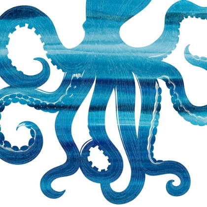 Picture of OMBRE OCTOPUS REVERSE