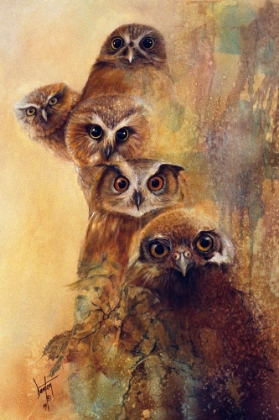 Picture of OWL EXPRESSIONS