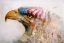 Picture of AMERICAN EAGLE
