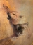 Picture of WOLF CRY