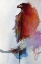 Picture of RAINBOW EAGLE