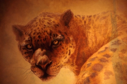 Picture of THE LEOPARD